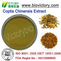 anti cancer 100% TCM extract Coptis chinensis extract